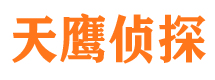 盐津侦探公司